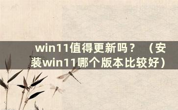 win11值得更新吗？ （安装win11哪个版本比较好）